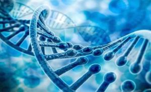 銳翌生物獲近億元A輪融資，魯信創投領投加速生物研發新突破