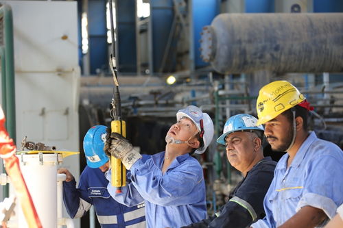 技術服務揚帆出海 蘭州石化叩開非洲市場大門