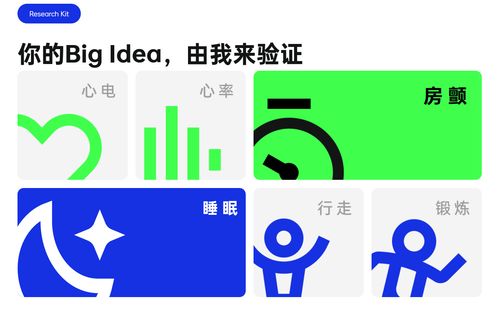 OPPO開發(fā)者大會前瞻 車機互融、智能服務與健康生態(tài)引領未來